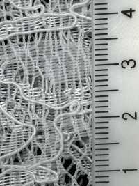 54331K Both Scholars Cord Raschel[Textile / Fabric] Parika Sub Photo