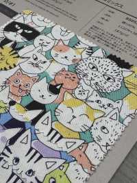 850536 SEVENBERRY® Oxford Unbleached Cotton Nyan Comics[Textile / Fabric] VANCET Sub Photo