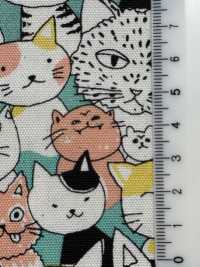 850536 SEVENBERRY® Oxford Unbleached Cotton Nyan Comics[Textile / Fabric] VANCET Sub Photo