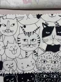 850536 SEVENBERRY® Oxford Unbleached Cotton Nyan Comics[Textile / Fabric] VANCET Sub Photo