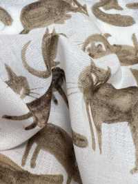 1026-625-2 60 Lawn Cat[Textile / Fabric] HOKKOH Sub Photo