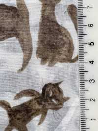 1026-625-2 60 Lawn Cat[Textile / Fabric] HOKKOH Sub Photo