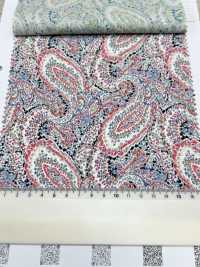 3026-650-10 60 Lawn Paisley[Textile / Fabric] HOKKOH Sub Photo