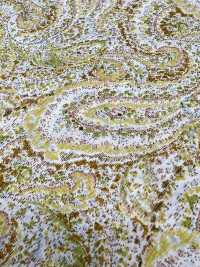 3026-650-10 60 Lawn Paisley[Textile / Fabric] HOKKOH Sub Photo