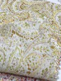3026-650-10 60 Lawn Paisley[Textile / Fabric] HOKKOH Sub Photo