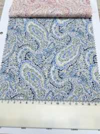 3026-650-10 60 Lawn Paisley[Textile / Fabric] HOKKOH Sub Photo