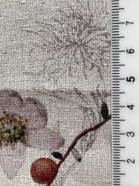 7026-700-1 CL Loomstate Botanical Floral Pattern[Textile / Fabric] HOKKOH Sub Photo