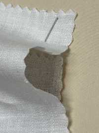 A-7013 1/80 Linen[Textile / Fabric] ARINOBE Sub Photo