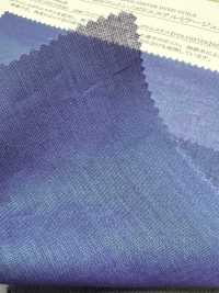 11549 50 Single Thread Cotton/polyester Mirage Voile[Textile / Fabric] SUNWELL Sub Photo