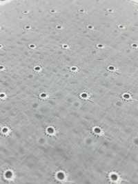 8026-860-1 Miracle Wave On Embroidered Dots[Textile / Fabric] HOKKOH Sub Photo