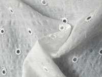 8026-860-1 Miracle Wave On Embroidered Dots[Textile / Fabric] HOKKOH Sub Photo