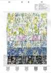 8026-680-7 80 Lawn Miracle Wave Watercolor Flowers