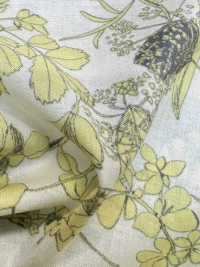 3026-650-6 60 Lawn[Textile / Fabric] HOKKOH Sub Photo