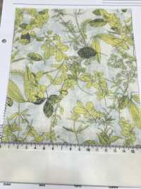 3026-650-6 60 Lawn[Textile / Fabric] HOKKOH Sub Photo
