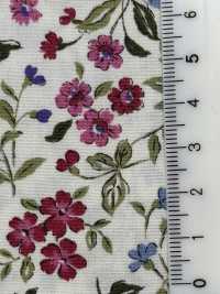 KTS2568 Broadcloth Floral Print[Textile / Fabric] Sub Photo