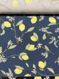 KTS6951 Lemon Print With Broadcloth Branch[Textile / Fabric] Sub Photo