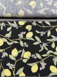 KTS6951 Lemon Print With Broadcloth Branch[Textile / Fabric] Sub Photo