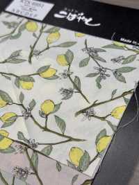 KTS6951 Lemon Print With Broadcloth Branch[Textile / Fabric] Sub Photo