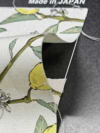 KTS6951 Lemon Print With Broadcloth Branch[Textile / Fabric] Sub Photo