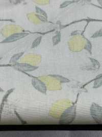 KTS6951 Lemon Print With Broadcloth Branch[Textile / Fabric] Sub Photo