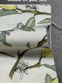 KTS6951 Lemon Print With Broadcloth Branch[Textile / Fabric] Sub Photo