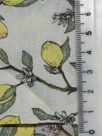 KTS6951 Lemon Print With Broadcloth Branch[Textile / Fabric] Sub Photo