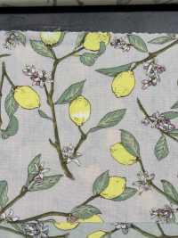 KTS6951 Lemon Print With Broadcloth Branch[Textile / Fabric] Sub Photo