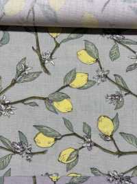 KTS6951 Lemon Print With Broadcloth Branch[Textile / Fabric] Sub Photo