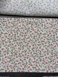 KTS7115 Broadcloth Gypsophila Print[Textile / Fabric] Sub Photo