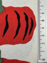 UP5910 10/1 Canvas Pumpkin Print[Textile / Fabric] Sub Photo