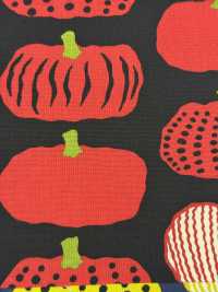 UP5910 10/1 Canvas Pumpkin Print[Textile / Fabric] Sub Photo