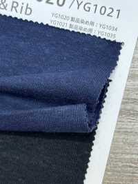 YG1020 19/1 Raffi Jersey[Textile / Fabric] YAGI Sub Photo