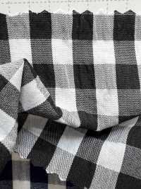 SB4H2016 Ripple Gingham Check[Textile / Fabric] SHIBAYA Sub Photo