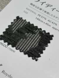 RYDEEN Raideen[Textile / Fabric] Shinko Sub Photo