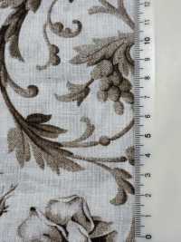 HP-203-1 CL Loomstate PT[Textile / Fabric] HOKKOH Sub Photo