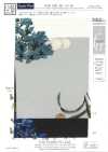 KDP1401-58-D-781 Feminish Decin Wide Width