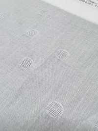KKC422-55-D5 Cotton 40/1 Panama Jacquard[Textile / Fabric] Uni Textile(Komon Studio) Sub Photo