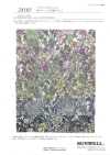 28105 60s Lawn Small Floral Print