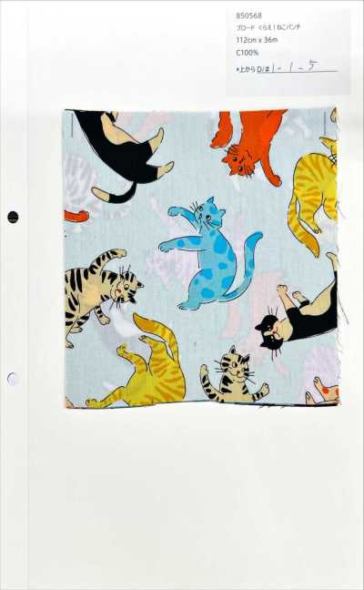 Broadcloth: Take This! Cat Punch