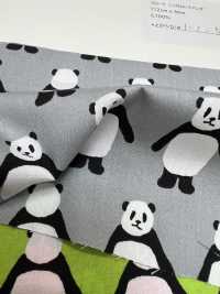 850564 Broadcloth Look This Way Panda[Textile / Fabric] VANCET Sub Photo