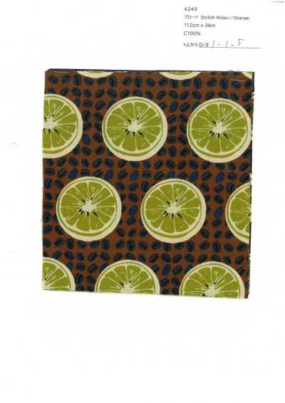 4249 SEVENBERRY® Broadcloth Stylish Relax / Orange
