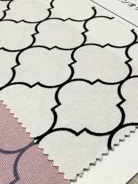 SP5500 Moroccan Oxford(Round)[Textile / Fabric] COSMO TEXTILE Sub Photo