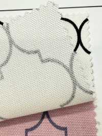 SP5500-DR Moroccan Oxford(Half-folded)[Textile / Fabric] COSMO TEXTILE Sub Photo