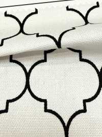 SP5500-DR Moroccan Oxford(Half-folded)[Textile / Fabric] COSMO TEXTILE Sub Photo