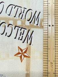 AP55201-DR Cinefabric Oxford (Half-fold)[Textile / Fabric] COSMO TEXTILE Sub Photo