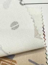 AP55110-DR Tea Time Oxford(Half Folded)[Textile / Fabric] COSMO TEXTILE Sub Photo