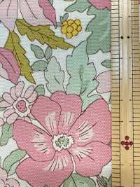 AP55808 Essential Grace 2 Oxford(Round)[Textile / Fabric] COSMO TEXTILE Sub Photo