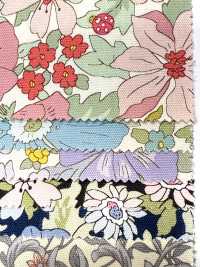 AP55808 Essential Grace 2 Oxford(Round)[Textile / Fabric] COSMO TEXTILE Sub Photo