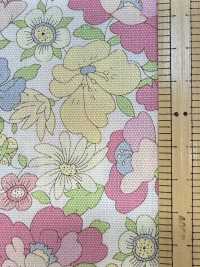 AP55808 Essential Grace 2 Oxford(Round)[Textile / Fabric] COSMO TEXTILE Sub Photo