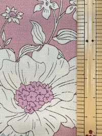 AP55808 Essential Grace 2 Oxford(Round)[Textile / Fabric] COSMO TEXTILE Sub Photo